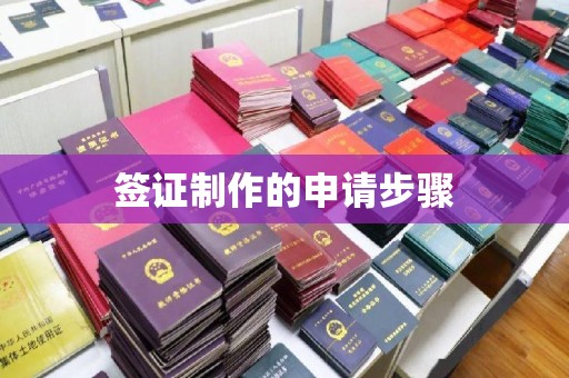惠水签证制作的申请步骤
